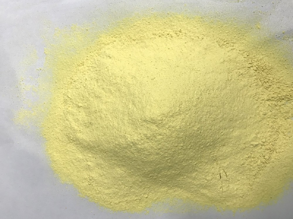 Freeze Dried Mango Powder