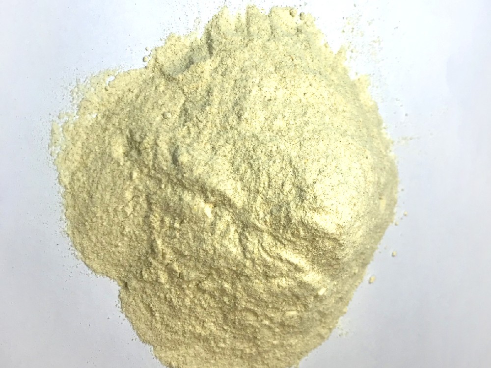 Freeze Dried Persimmon Powder